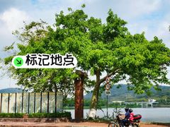 -风云岭森林公园