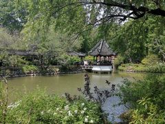 -上海醉白池公园