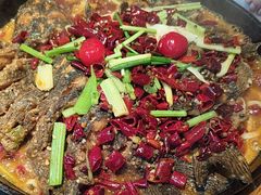 -老板恋上鱼(恒隆广场店)