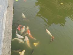 -孔庙学宫