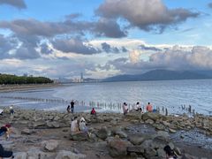 -深圳湾公园(南山区)