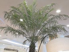 -逸派咖啡 EPARKCOFFEE(广安门店)