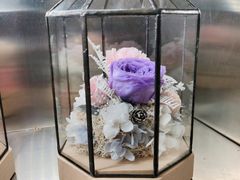 -植物学家的女儿(北马道巷店)