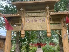 -金塔沙漠胡杨林景区