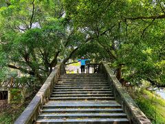 -广州市流溪河国家森林公园