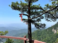 -王顺山国家森林公园