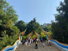 -西双版纳勐泐文化旅游区