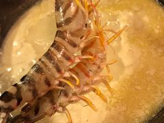 -鲜入围煮花胶鸡海鲜火锅