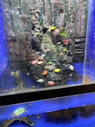 点击看大图 -宝燕乐园(闵行旗舰店)