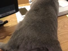 -壹人壹像工作室(购物公园店)