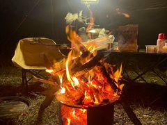 -盘龙城国家考古遗址公园