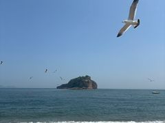 -棒棰岛宾馆景区