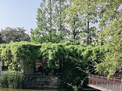 -郑和公园