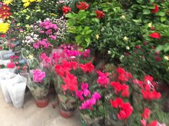 -顺鑫石门市场