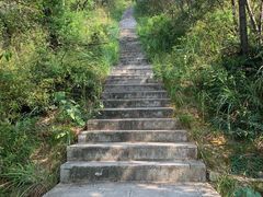 -桃花岭景区