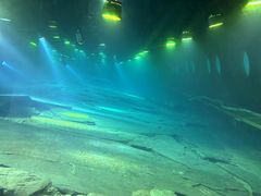 -白鹤梁水下博物馆