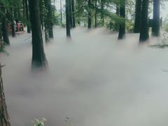 -东湖落雁景区