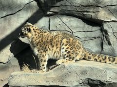 -青藏高原野生动物园