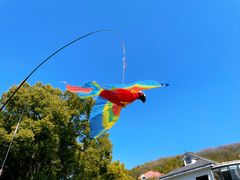 -上海佘山国家森林公园西佘山园