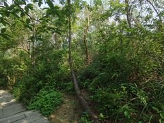 -梧桐山风景名胜区