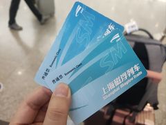 -龙阳路磁悬浮列车总站-停车场