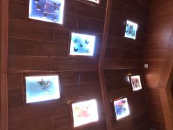 -酷嗒动物文化乐园(cutezoo西溪乐天城店)