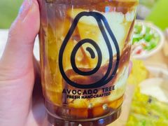 -油梨树AVOCADO TREE(嘉里中心店)