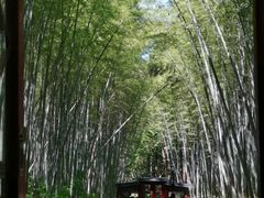 -同里国家湿地公园
