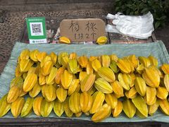 -西双版纳傣族园