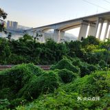 揽江公园