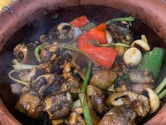 -天宝食坊·啫啫煲大排档(西华路店)