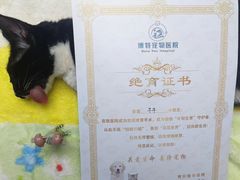 -博特宠物医院24h犬猫全科.骨科·异宠