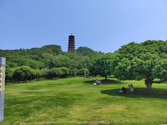 -红花山公园