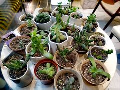 -有鱼吃·纸包烤鱼(曲江创意谷店)