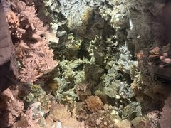 -湖南省地质博物馆