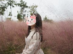 -南湖湿地公园