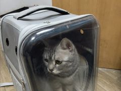 -联合动物医院(光谷诊疗中心)