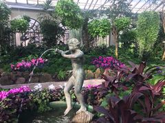 -斐兹洛伊花园