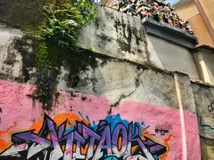 -罗汉果龙眼冰糖燉冬瓜