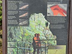 -夏威夷火山国家公园