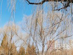 -元大都城垣遗址公园