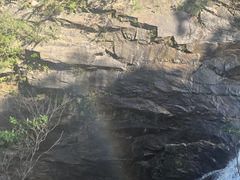 -海南热带雨林国家公园吊罗山景区