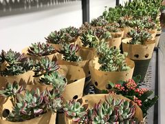 -鹿岛会员店 (龙湖三千集天街店)