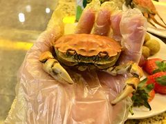 -禾斗海鲜自助(市北诺德店)