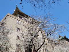 -武汉大学-樱园