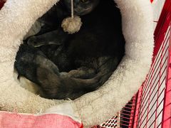 -第三空间·趣味桌游·轰趴.室内CS.剧本杀(大武汉1911店)