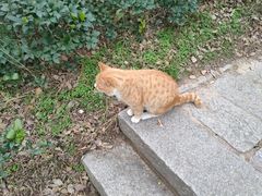-贮水山儿童公园