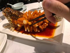 松鼠桂鱼-老阊门菜馆(山塘街店)