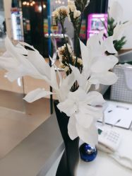 -CIT造型·烫发·染发