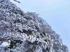 -瓦屋山景区
